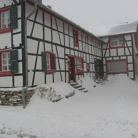 Ferienwohnung Duerbaum シュライデン エクステリア 写真